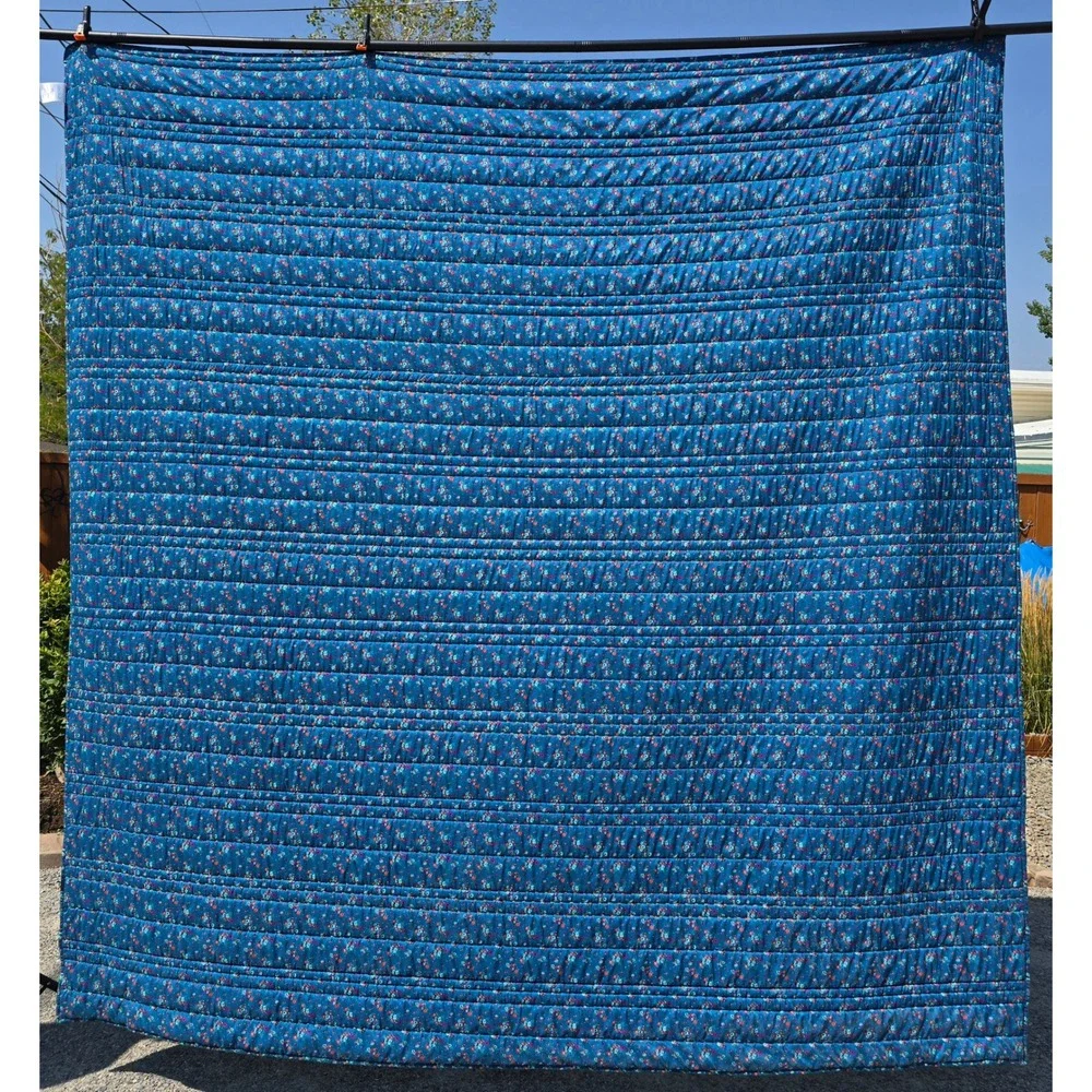 Pioneer Woman Queen Quilt & Shams Set Blue Floral Reversible Country Cottage